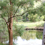 Enjoy the quiet bushland setting, overlooking the dam.