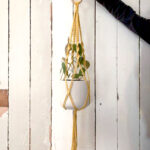 Macrame plant hanger mustard.